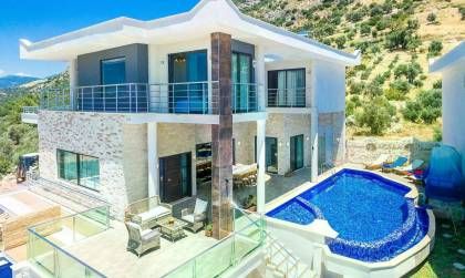 Villa Excellence - Resim #0